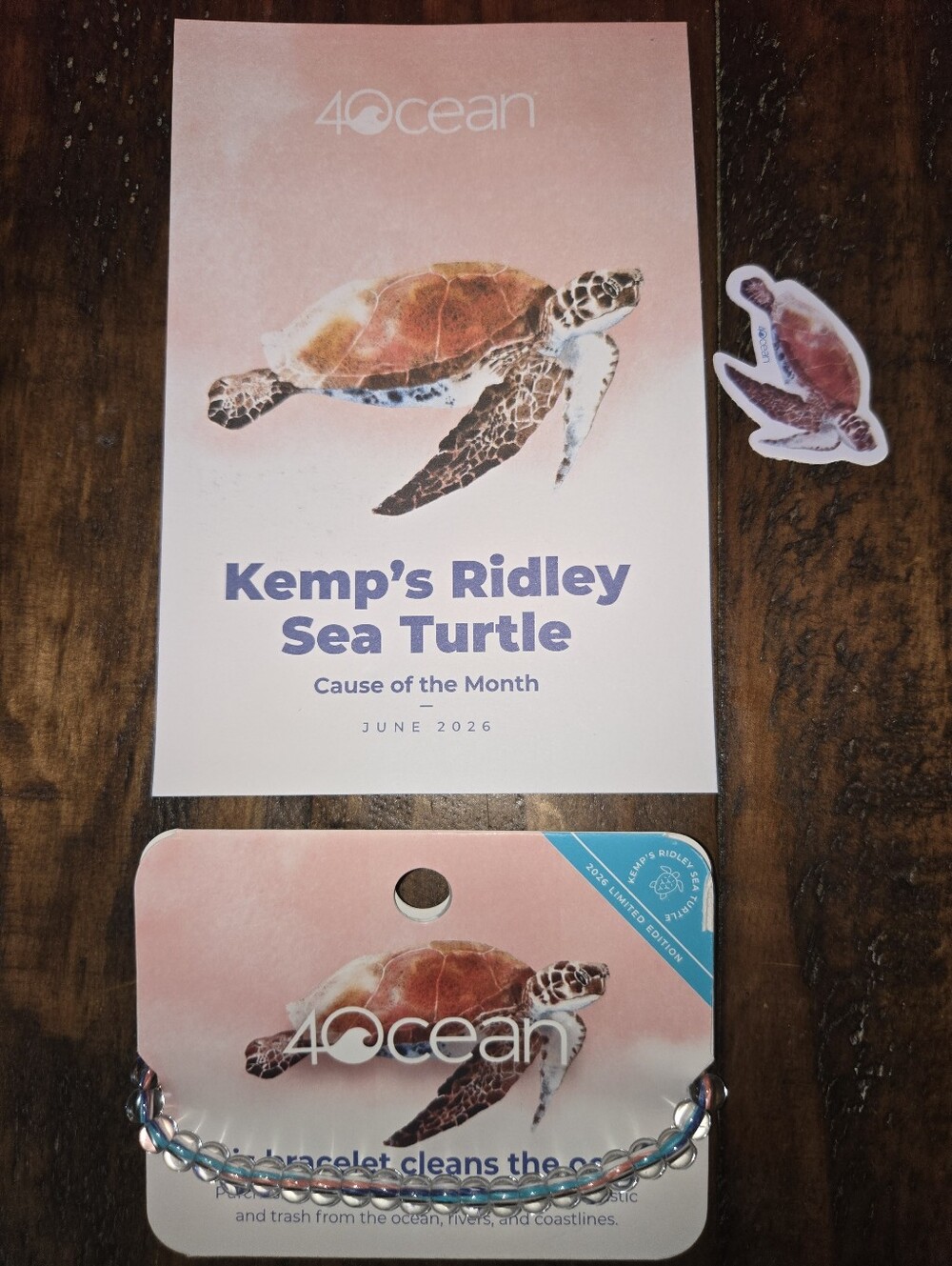 4Ocean Bracelet "Sea Turtle"